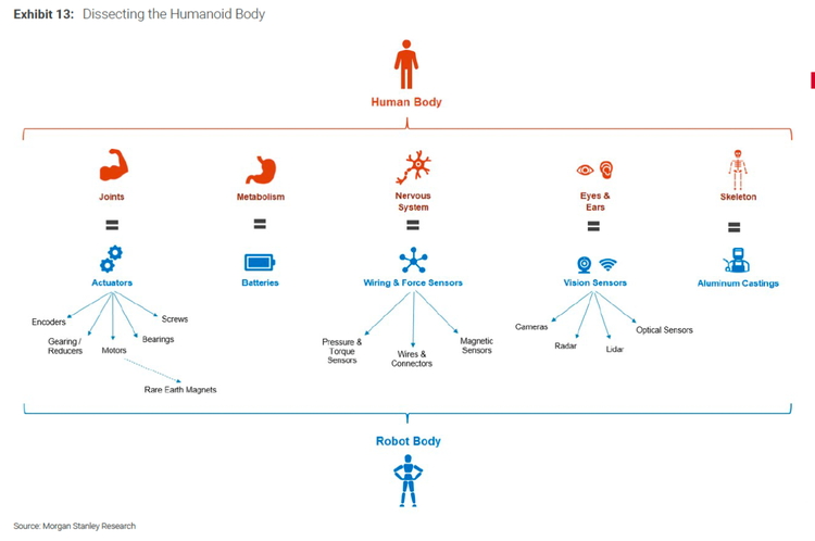 Infographic titled 'Dissecting the Humanoid Body,' which maps five key human physiological systems—joints, metabolism, nervous system, eyes and ears, and skeleton—to their functional mechanical equivalents in a robot, such as actuators, batteries, wiring, vision sensors, and structural castings, illustrating how humanoid robotics emulates human anatomy
