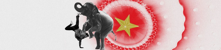 Les éléphants doivent apprendre à danser de rue : l’appel du Parti communiste chinois à la jeunesse dans la propagande étrangère