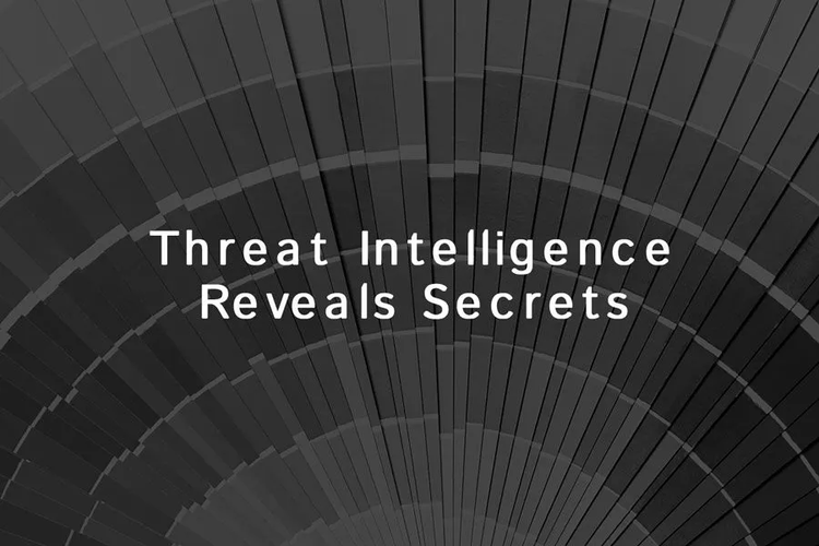 50 Shades of Dark: From the Surface to the Dark Web