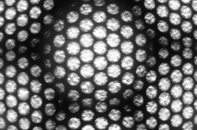 Abstract 23.png​​ 