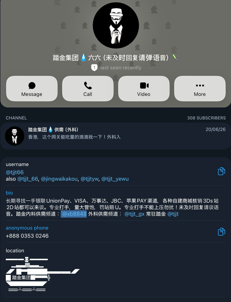 Telegram profile screenshot for the user '@tjjt66,' an administrator for the Tajin Group. The profile includes contact options and a detailed biography soliciting third-party payment channels—specifically UnionPay, Visa, Mastercard, and Apple Pay—for the group's financial fraud operations, alongside an anonymous phone number (+888 0353 0246