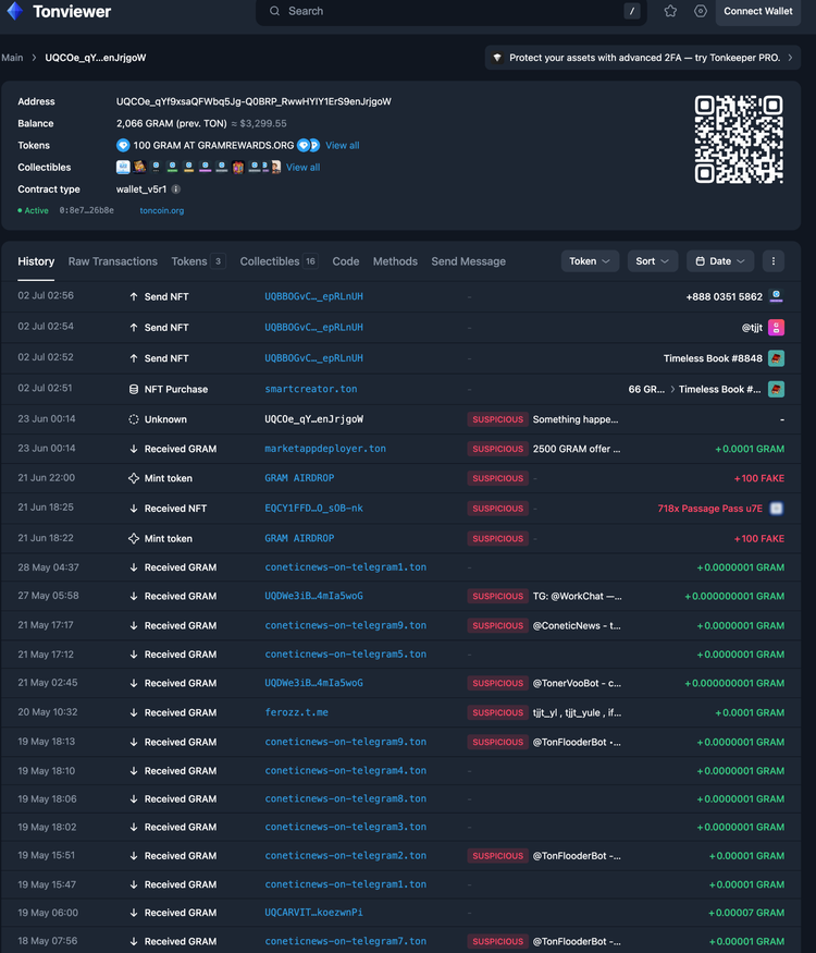 A Tonviewer transaction history screenshot for a TON wallet address starting with 'UQCOe_qY'. The table displays multiple transactions, including NFT purchases, received GRAM tokens, and token minting activities, many of which are labeled as 'SUSPICIOUS' by the platform.